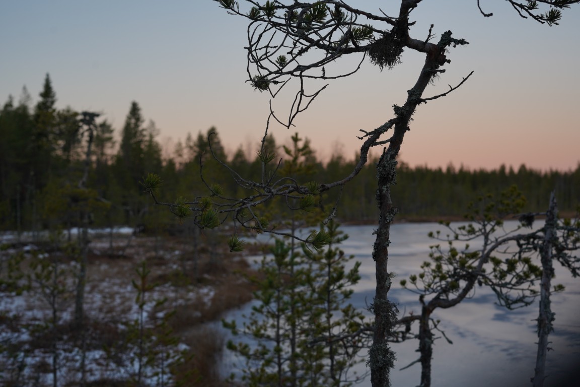 Winter